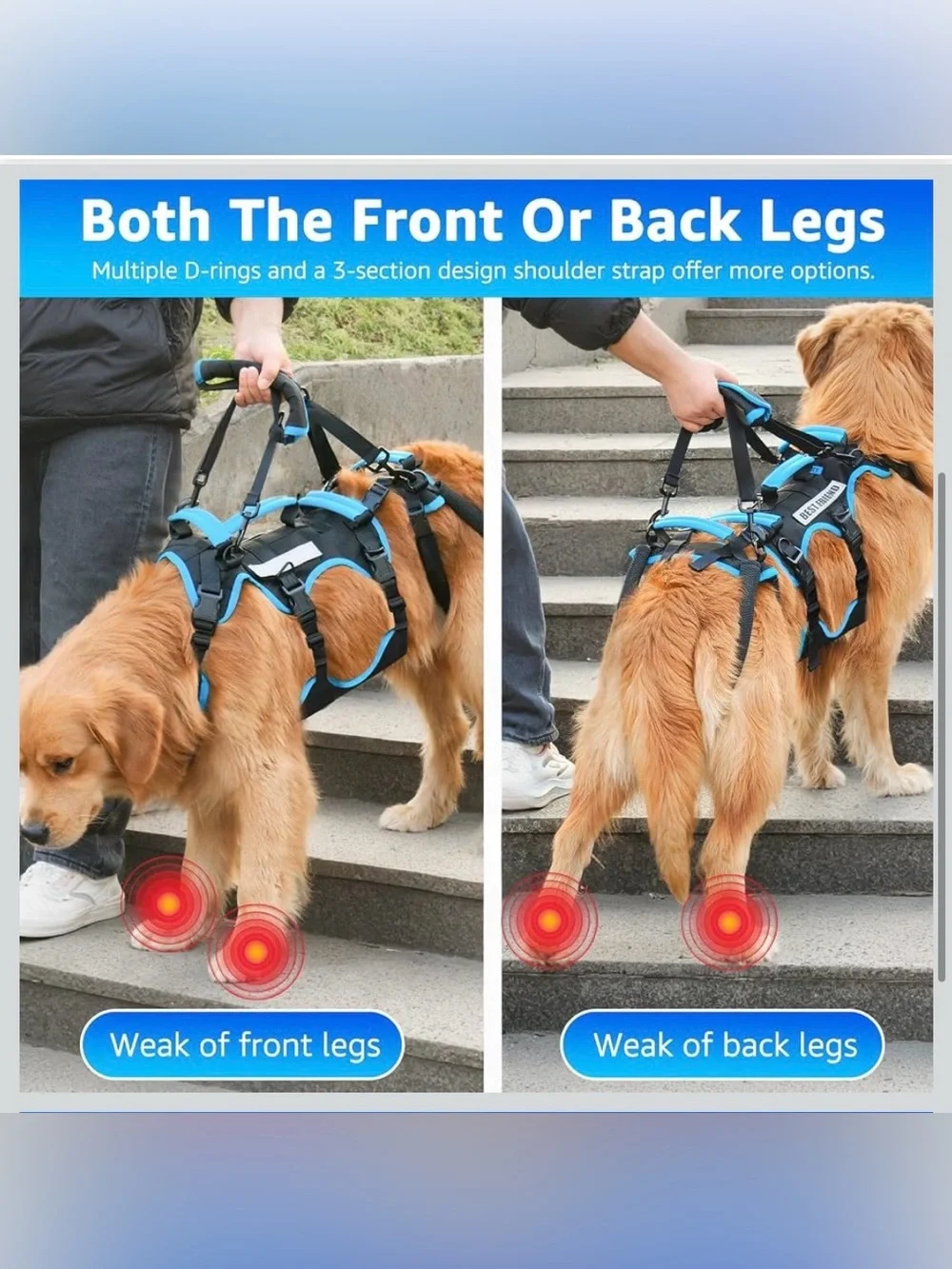 Dog Lift Harness for Large Male Dogs, 2-in-1, Back Leg Support & Mobility Assist